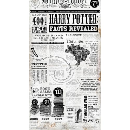 Harry Potter poster en rouleau idée cadeau décoration murale XXL