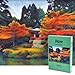 Jigso Puzl Paris - Puzzle 1000 pièces - Daigo-Ji (Clement Thoby) - Idée Cadeau Anti Stress Unique et Originale - Jeu Adulte Casse Tête Classique - Jouet Enfant educatif et Ludique - 66x45cm