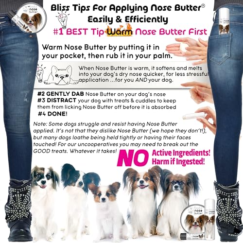 Image of The Blissful Dog Papillon Unscented Nose Butter - Dog Nose Butter, 1 Ounce