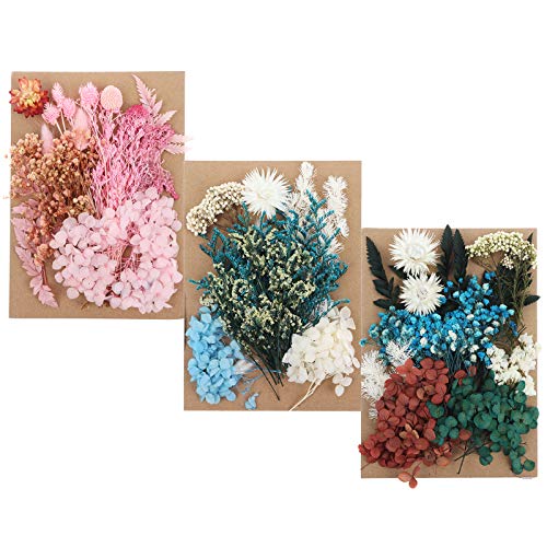 135pcs DIY Dried Flowers Daisies Leaves, Hydrangeas, Multiple Natural Pressed Flowers Colorful Decorative Dried Flowers for DIY Craft (Color 4)