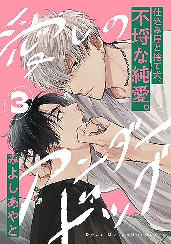 愛しのアンダードッグ(3) (アメイロ)