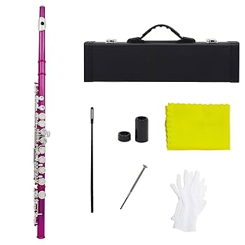 お値下げ　フルート バッグ 帯　C管用　C-BK27C 2025年最新】フルートケースの人気アイテム - メルカリ