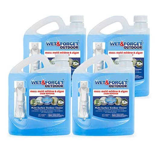 Wet & Forget Outdoor Cleaner for Stains