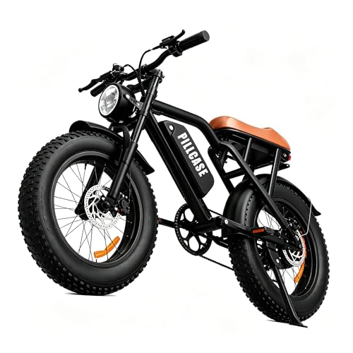 1500W Peak Electric Bike