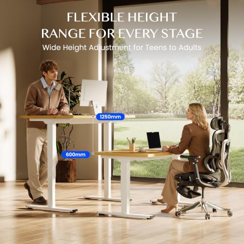 FLEXISPOT Höhenverstellbarer Schreibtisch mit Dualmotor 160×80 cm – Ansicht 6