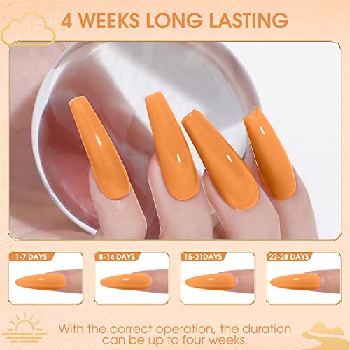 VOXURY UV Nagellack Set 18+3 Stück Farbgel für Gelnägel Nude Orange Braun Grau Gel Nagellack Set Schwarz Rot Rosa UV… – Bild 4