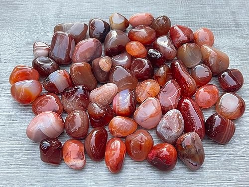 Image of GAF TREASURES 1 /2 LB Carnelian Tumbled Stones, Polished Carnelian Gemstone, Carnelian Healing Crystals (Carnelian)