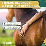 ALL-WIN Horse Hay Time 24/7 – 12 kg Strukturfutter für Pferde – Getreidefrei, Pferdefutter ohne Zuckerzusatz – Mit Timothee, Grünhafer & Luzerne – Staubfrei, magenfreundlich & rohfaserreich