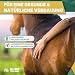 ALL-WIN Horse Hay Time 24/7 – 12 kg Strukturfutter für Pferde – Getreidefrei, Pferdefutter ohne Zuckerzusatz – Mit Timothee, Grünhafer & Luzerne – Staubfrei, magenfreundlich & rohfaserreich