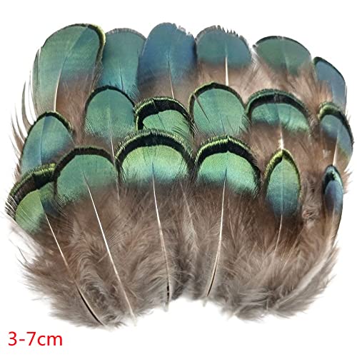 Natürliche Pfau-Fasan-Feder-Straußen-Truthahn-Federn für Handarbeiten Kopfschmuck Handwerk Dekor-Zubehör-China,5-10cm,100St
