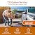 Brio Whole House Water Filter System w/Gauges | 3 Stage Fast-Flow Filtration (Sediment, Phosphate Anti-Scale, CTO Carbon Block) 4.5" x 10" Filters | Improves Taste, Protects Home Appliances | 720 GPH