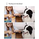 eufy Security Indoor Cam E220, Camera for home Security, Pan & Tilt, Dog/Pet Camera, 2K Wi-Fi Plug-in, Motion Tracking, Motion Only Alerts, Night Vision, HomeBase 3 Compatible, Voice Assistant Support - Image 2