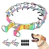 Mayerzon Dog Prong Training Collar, Stainless Steel Choke Pinch Dog Collar with Comfort Tips (Medium,3mm,19.7-Inch,14-18" Neck, Rainbow)