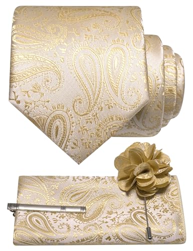JEMYGINS Mens Champagne Paisley Tie and Lapel Pin Necktie Pocket Square and Tie Clip with Sets for Business Casual 4PCS(21)