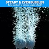 Zoom IMG-1 coyun 4pcs diffusore di ossigeno Zoom IMG-1 coyun 4pcs diffusore di ossigeno