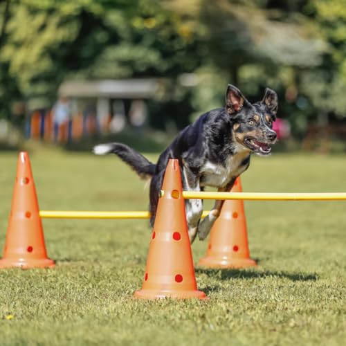Trixie 32091 Dog Agility Hurdle Cone Set thumb #5