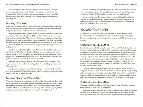 Your Labrador Retriever Puppy Month by Month, 2nd Edition: Everything You Need to Know at Each Stage of Development (Your Puppy Month by Month)