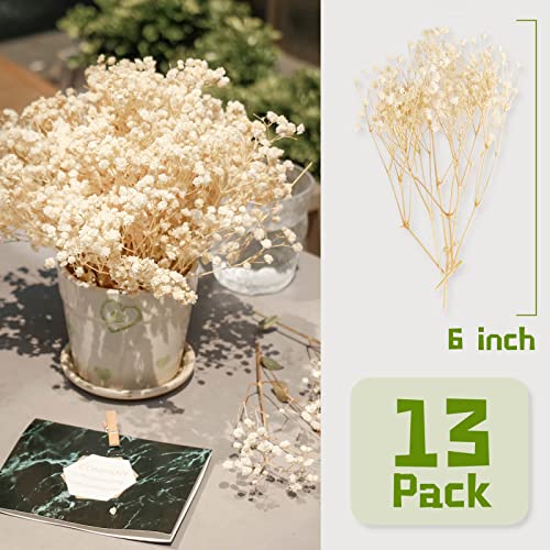 image for Oning 65 Pcs Mini Dried Baby's Breath Flowers - 4000+ Pressed Real Nat