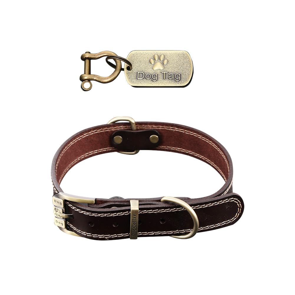 Colliers de dressage en cuir solide pour grand chien et chiot avec médaille gravée