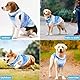 Kühlweste Hund, Atmungsaktiv Shirt Sommer Hundekostüm, Hundekühlweste Hunde Kühlende Hundejacke Leichte Haustier T-Shirts für Kleine Mittelgroße Hund Katzen