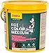 Produktbild sera Koi Futter Color Medium 3,8 l (1,3 kg) | Natürliches Koifutter für farbenprächtige Koi 12-25 cm | Optimale Farbausprägung mit Spirulina, Gammarus & Krill | Für Gute Wasserqualität im Teich