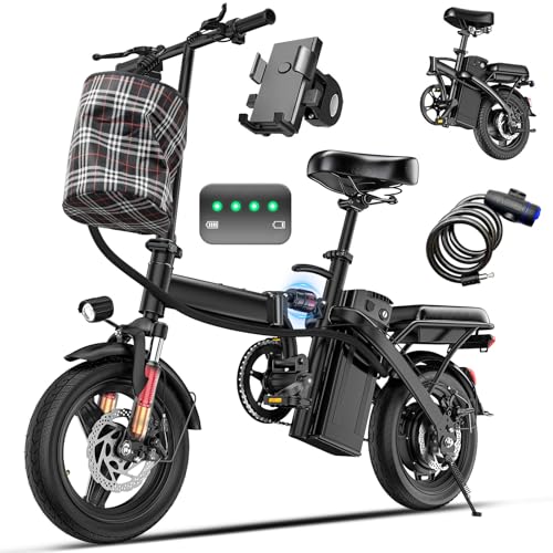 Furider Foldable Electric Bike