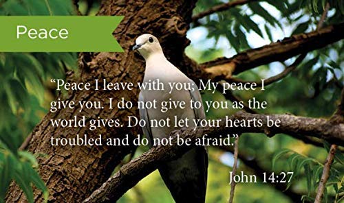 Pass It On Scripture Cards, Peace, John 14:27, Pack of 25 Inspirational Bible Verse Wallet Cards for Devotional, Bible Study, & Memorization, Small Christian Greetings for Encouragement