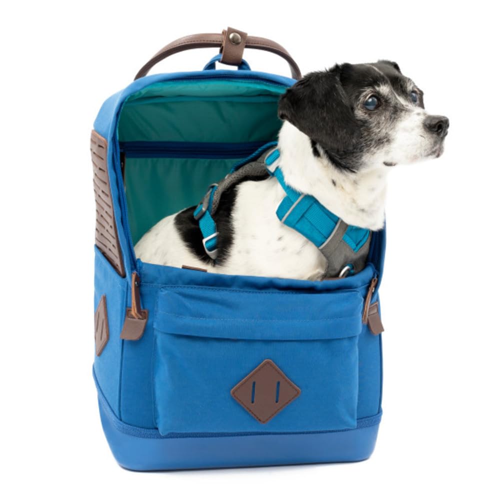 Kurgo Nomad Mochila Transportín, Azul | Apta para Avión, Fondo Impermeable, Bolsillo para Tablet, Para Perros Pequeños