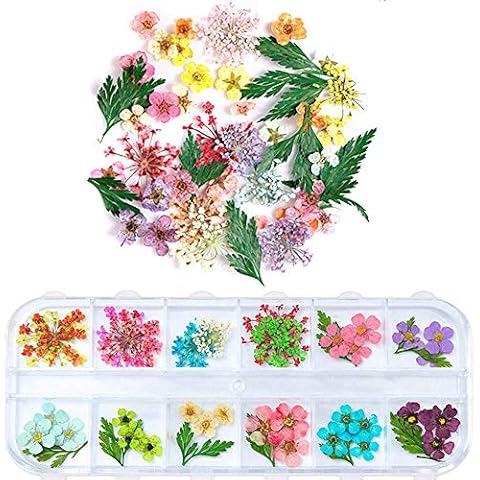 1 Box Dried Flowers for Nail Art, UNIME 16 Colors Dry Flowers Mini Real Natural Flowers Nail Art Supplies 3D Applique Nail Decoration Sticker for Tips Manicure Decor (Mixed Gypsophila Flowers) Cover