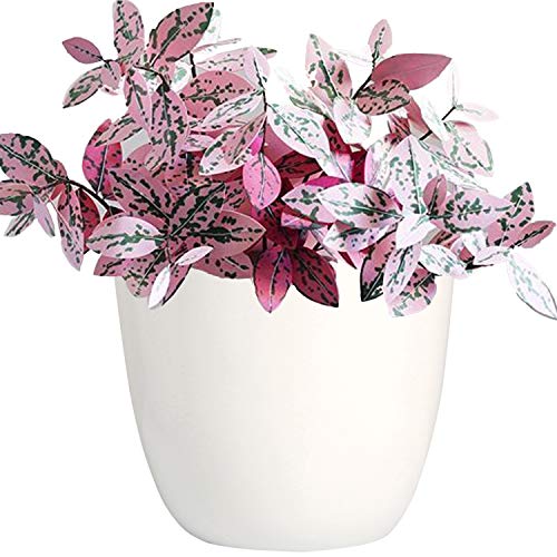 Youngever 6 Pack 20CM Plastic Planters Indoor Flower Plant Pots