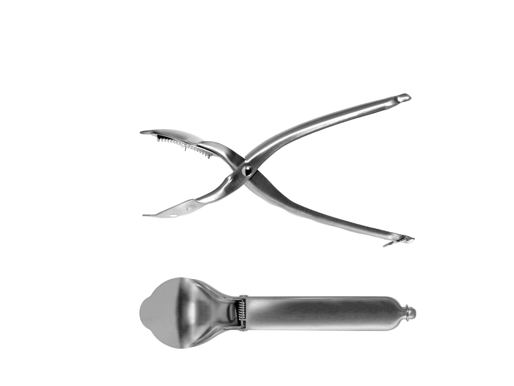 Westmark Coupe-Châtaignes, avec Lames dentelées, Longueur : 20 cm, Acier inoxydable, Argenté, 40422260