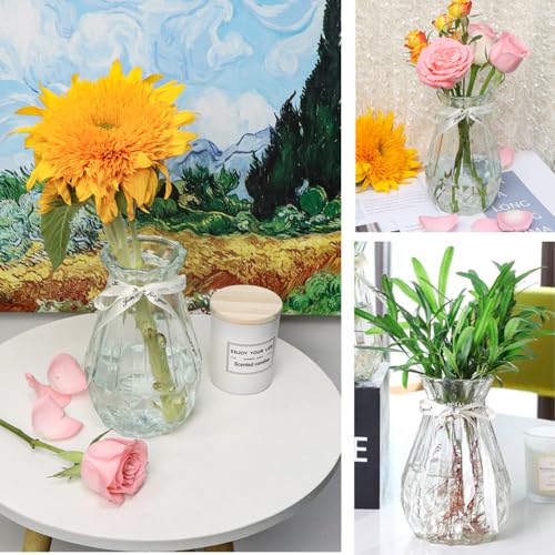 TSKDKIT Clear Glass Vase Decoration Flowers Glass Bottle Thicken Vase with Ribbon Glass Vase for Gift Wedding Living Room Modern Decor(18 x 8cm) - Cosy Home Interiors TSKDKIT Clear Glass Vase Decoration Flowers Glass Bottle Thicken Vase with Ribbon Glass Vase for Gift Wedding Living Room Modern Decor(18 x 8cm) - Image 7