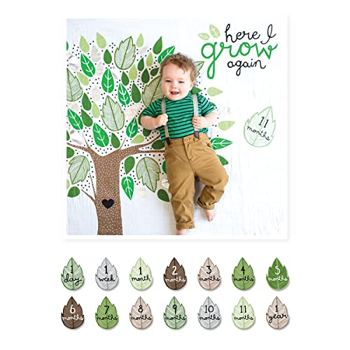 Image of lulujo Baby’s First Year Milestone Blanket and Card Set | 40in x 40in (Here I Grow Again)