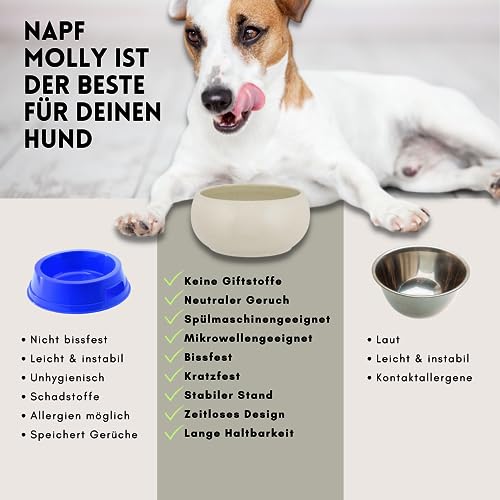 hej.mo Design Hundenapf Keramik | Creme | 20 cm Durchmesser & 1,8 L Volumen | robuster Fressnapf in stilvollem Design | spülmaschinenfest | Kratz- & bissfest | Futternapf für mittlere & große Hunde