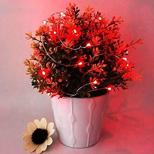 Red fairy lights intertwined with a small potted plant, providing a subtle illumination.
