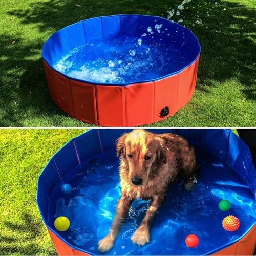 Faltbarer Hundepool,50x8 cm Hundeplanschbecken,Planschbecken für Haustiere für Kleine und Große Hunde, PVC Schwimmbecken, Faltbare Hundepool für Kleine Hunde 