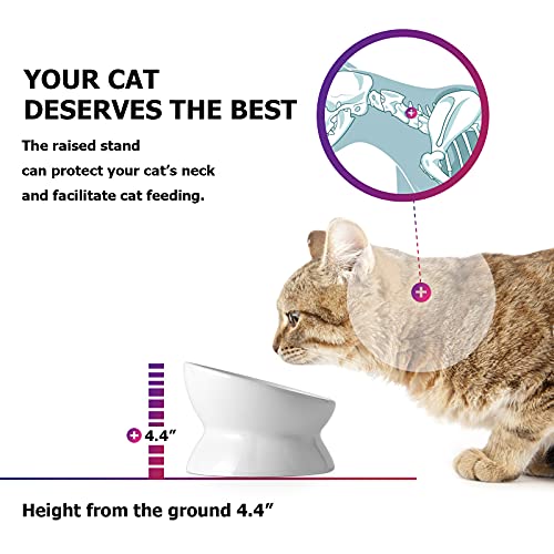 Y Yhy Cat Food Bowl 6", Elevated Tilted Cat Bowl, Raised Cat Bowls For Adult Cats Or Dogs, Ceramic Pet Food Water Dish 10 Oz, White #TOP2
