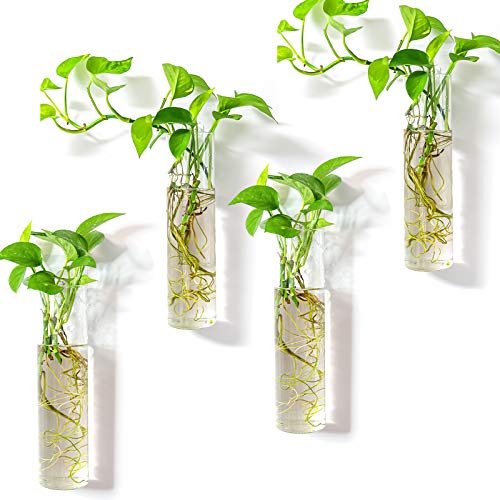 Kingbuy Wall-Mounted Plant Terrarium Propagation Station - 4 Cylinder Hanging Glass Tubes Planter for Hydroponic Plants, Indoor Wall Vases & Decorative Plant Holder Bathroom Office Living Room Decor