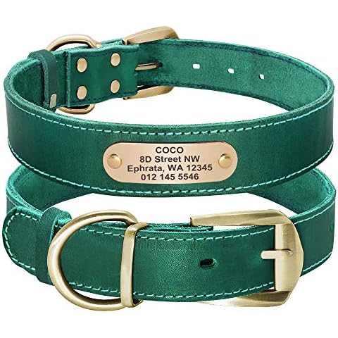 Didog Genuine Leather Dog Collars with Engraved Nameplate, Personalized Soft Leather Dog Collar with Custom ID Tag, Brown/Green/Red for Medium Large Dogs Cover