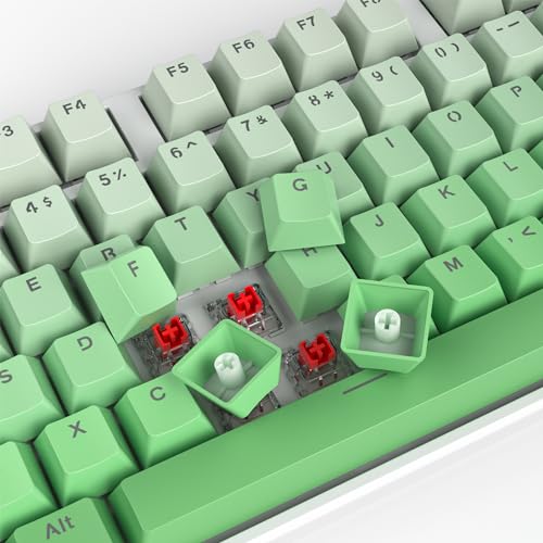 Image of Gradient Keycaps, PBT Double Shot 104 Keys Keycaps, OEM Profile Custom Keycaps Set for 60% /87 /104 Cherry Gateron MX Switches Mechanical Keyboard(Green)