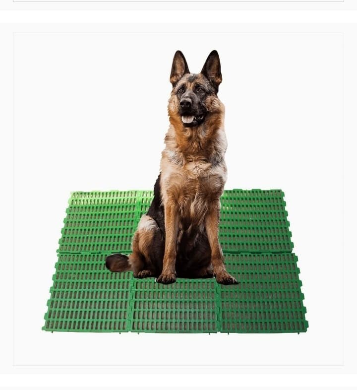 2 * 1 Slatted Floor for Dogs (61 cm L * 31 cm W) (B0CTH2XC1J) Amazon Price History, Amazon Price Tracker