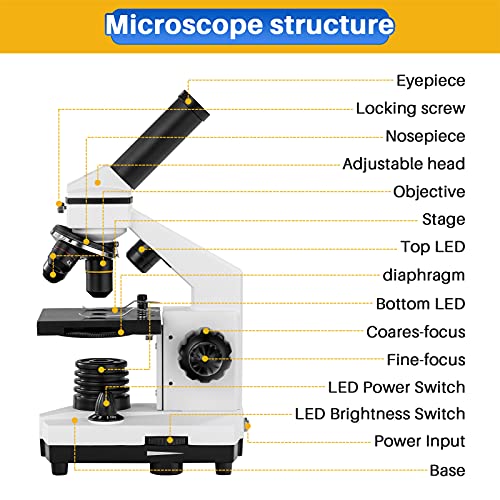 Electronikz BEBANG 100X2000X Microscope for Kids Students Adults