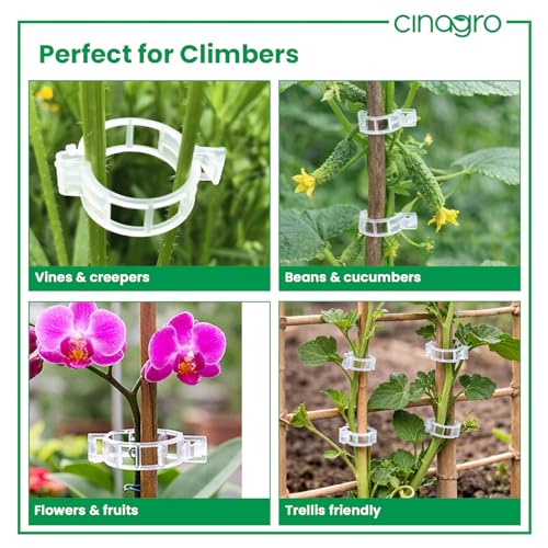 Image of Cinagro Plant Support Clips for Climbing Plants, Set of 100, 4cm Dia | Reusable Stem Holder for Upright Growth, For Vines, Vegetables, Flowers