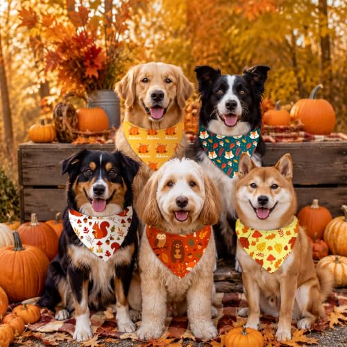 Image of Abbylike 50 Pcs Fall Dog Bandanas Bulk Autumn Leaf Pumpkin Acorn Mushroom