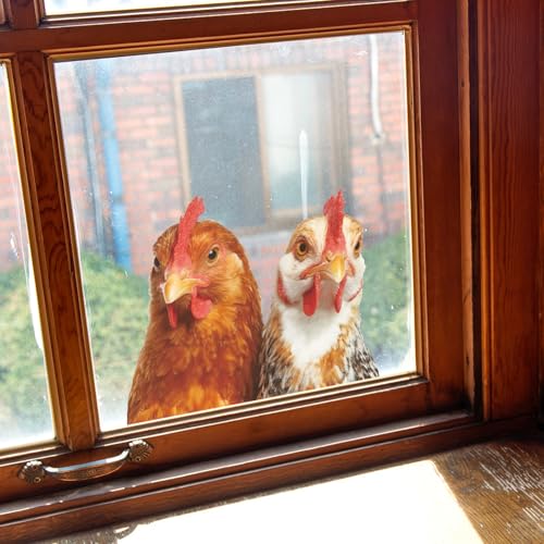 Vinilo decorativo adhesivo con diseño de gallinas miniatura 5