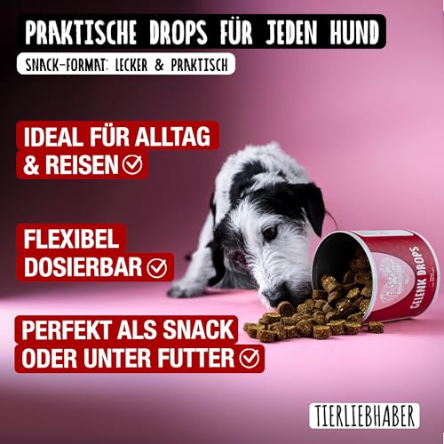 TIERLIEBHABER – Gelenk Drops mit Grünlippmuschel Hund – Von Tierärzten entwickelt – Gelenktabletten Hund geeignet als Hunderunde Futtertopping – Hundeleckerli mit Teufelskralle, MSM & Kollagen
