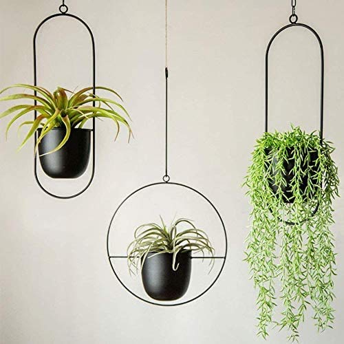 Cratone hangende plantenhanger, metaal, zwarte bloempot, plafond, hangende pot voor kamerplanten, vetplanten… - Image 8