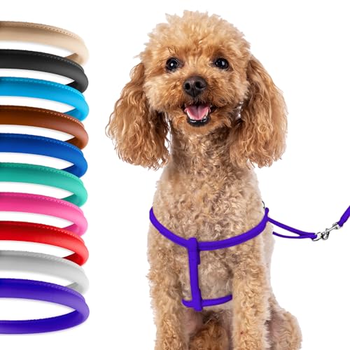 CollarDirect Rolled Leather Dog Harness Small Puppy Step-in Leash Set for Walking Pink Red White Blue Green Black Purple Beige Brown Yellow (Purple, S)