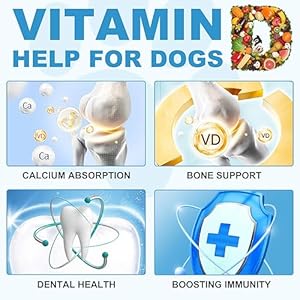Vitamin D for Dogs, Liquid D for Dogs, Dog Vitamins D Drops Promote Calcium Absorption, Supports Hip & Joint Health and Dog Dental Health – Pet Supplements Liquid Vitamins D, Bacon Flavour – 2 Fl Oz