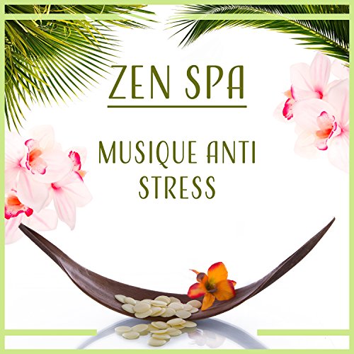 Amazon.com: Zen spa: Musique anti stress pour détente, bien-etre
